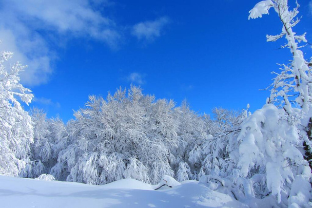 Fransız dağlarında karlı bir manzara - Fotoğraf, Görsel
