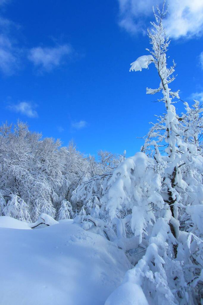Sněžná krajina ve francouzských horách - Fotografie, Obrázek