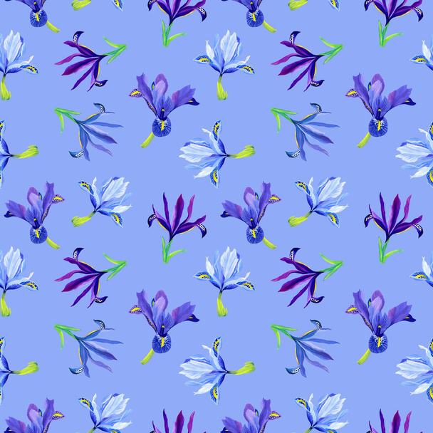 Seamless pattern of iris flowers on a blue background - Fotó, kép