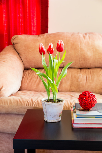 Red tulips in modern living room. - Photo, Image