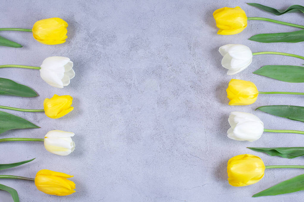 Frame of White and yellow tulips flowers on grey background. - Foto, Bild
