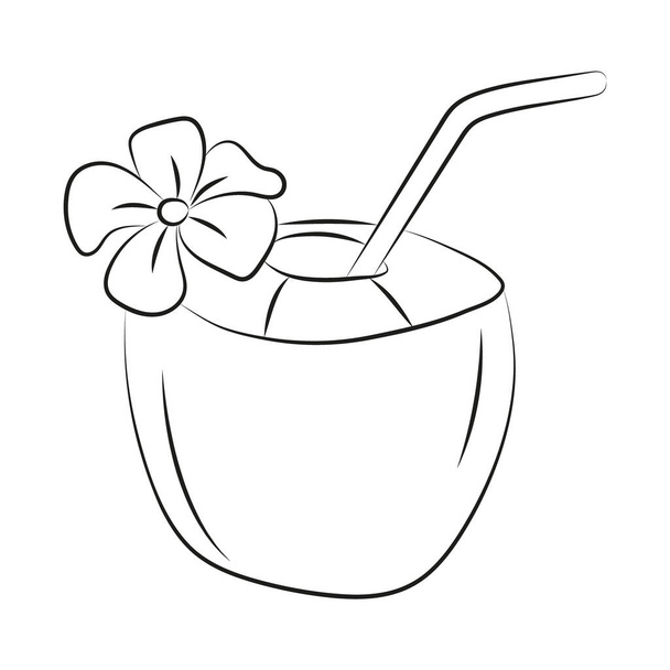 coconut cocktail with straw and flower linear drawing - Vector, Image