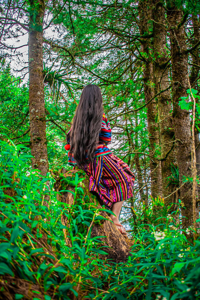 mujer en vestido típico maya sentado en el tronco con árboles de fondo con el pelo largo - Foto, imagen