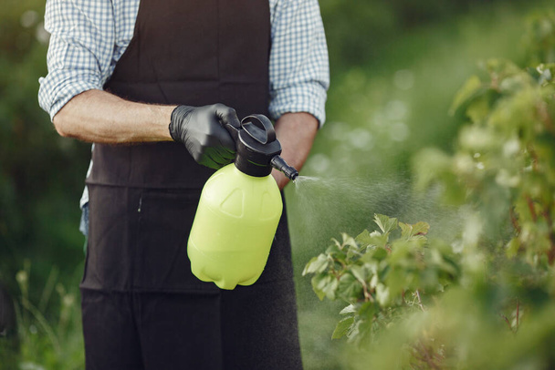 Senior man watering his plants in his garden with sprinkle - Zdjęcie, obraz