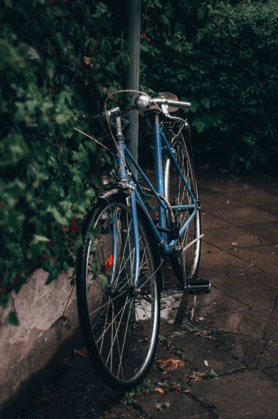 A vertical shot of a bicycle parked in a rural neighborhood - Фото, изображение