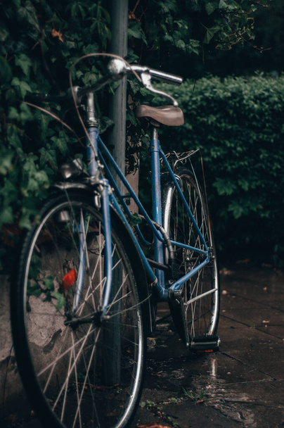 A vertical shot of a bicycle parked in a rural neighborhood - Photo, image