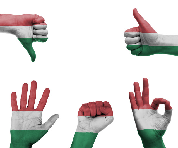 kézzel állítsa be a Magyarország zászlaja - Fotó, kép