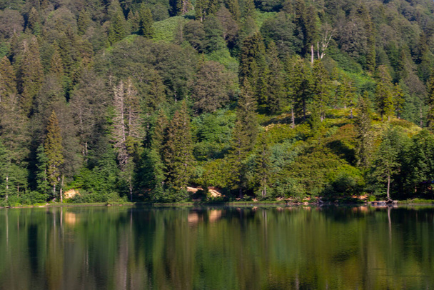 Karagl, Artvin 'in Borcka ilçesine 25-27 kilometre uzaklıkta bulunan bir heyelan gölüdür.. - Fotoğraf, Görsel