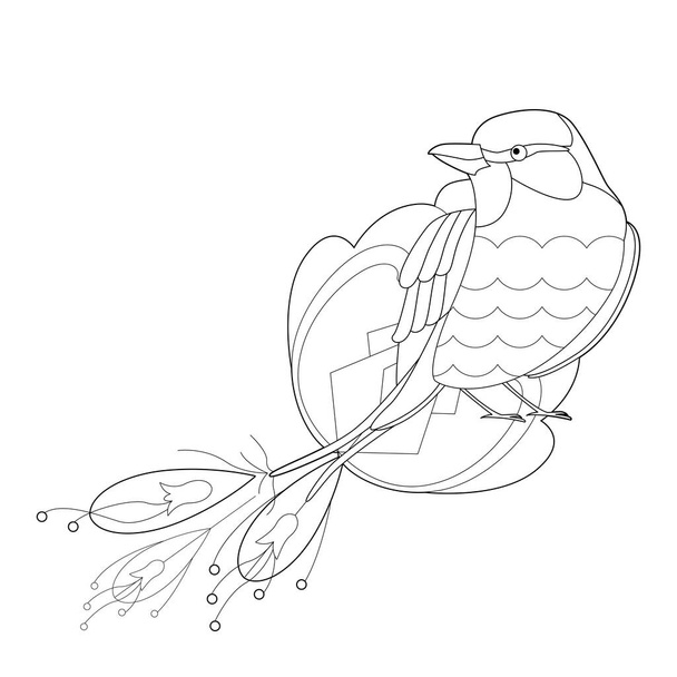 Contour linear illustration with bird for coloring book. Cute paradise bird, anti stress picture. Line art design for adult or kids  in zentangle style and coloring page. - Vector, afbeelding