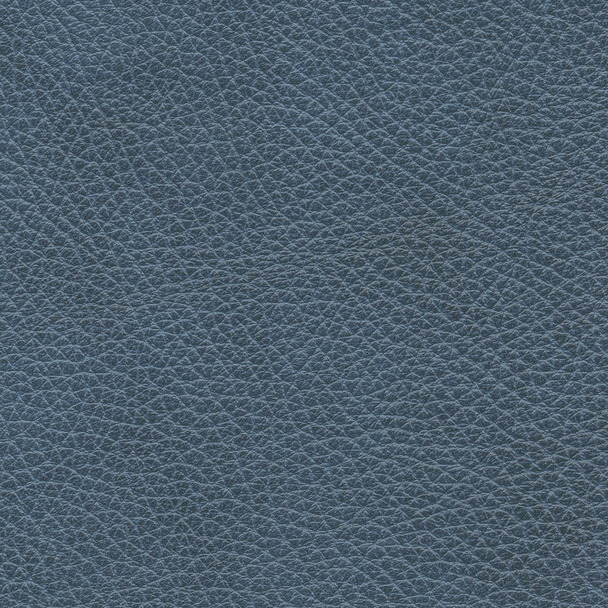 Blue leather - Фото, изображение