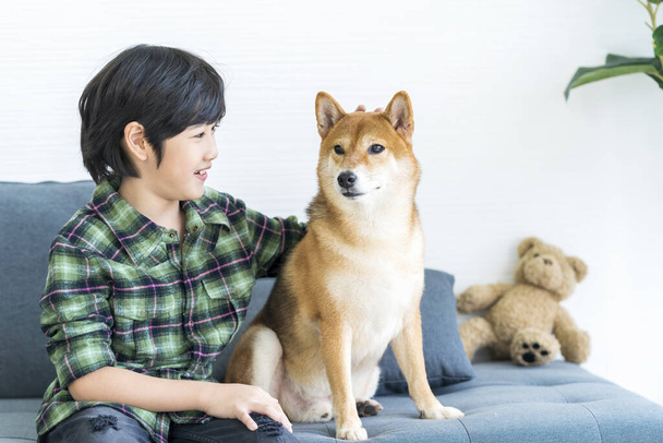 Zwierzęca miłość. Chłopiec przytula Shiba Inu na kanapie w salonie. Shiba inu pies jest japońskim psem. - Zdjęcie, obraz