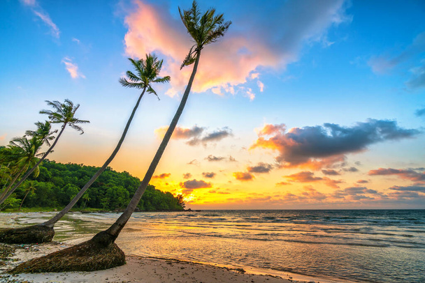 Úsvit na opuštěné pláži s krásnými nakloněnými kokosovými stromy s výhledem na moře a krásnou dramatickou oblohou smaragd - Fotografie, Obrázek