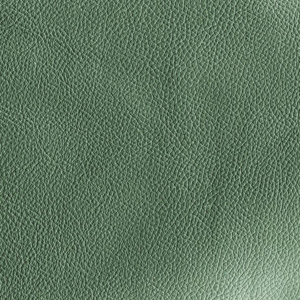 Green leather - Фото, изображение