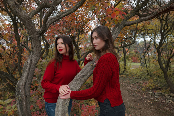 Dojrzała matka przytula się ze swoją nastoletnią córką na świeżym powietrzu w jesienny dzień. Moda jesienna, ciepłe czerwone swetry. spacer w jesiennym lesie - Zdjęcie, obraz