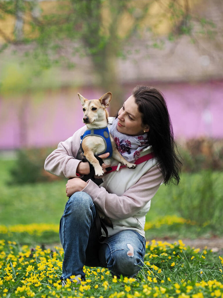 ενήλικας ωραία γυναίκα βόλτες το μικρό σκυλί την άνοιξη - Φωτογραφία, εικόνα