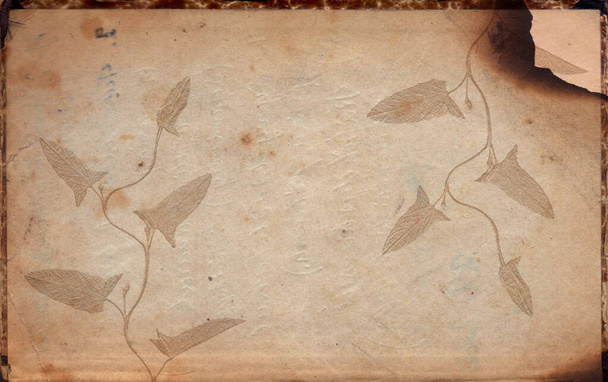 Старая винтажная грубая бумага с рельефной текстурой растений изолирована на белом - Фото, изображение