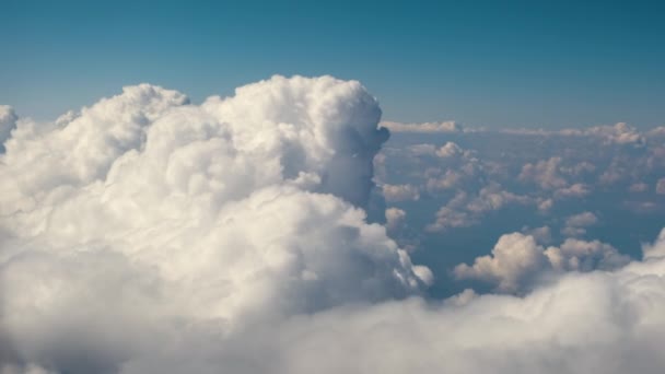 Luchtzicht vanuit vliegtuig raam van witte gezwollen wolken op heldere zonnige dag. - Video