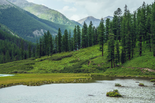 Атмосферный пейзаж с альпийским озером и хвойным лесом в горной долине. Драматический зеленый пейзаж с хвойными деревьями на склонах и рябями на поверхности воды. Дикое место в горах. - Фото, изображение