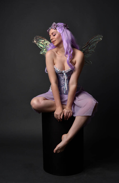 Peri kanatları ve çiçek tacıyla fantezi korse giyen mor saçlı bir kızın tam boy portresi. Stüdyonun arka planında otururken. - Fotoğraf, Görsel