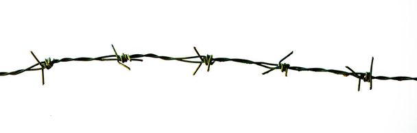 barbed wire isolated on white background - Photo, Image