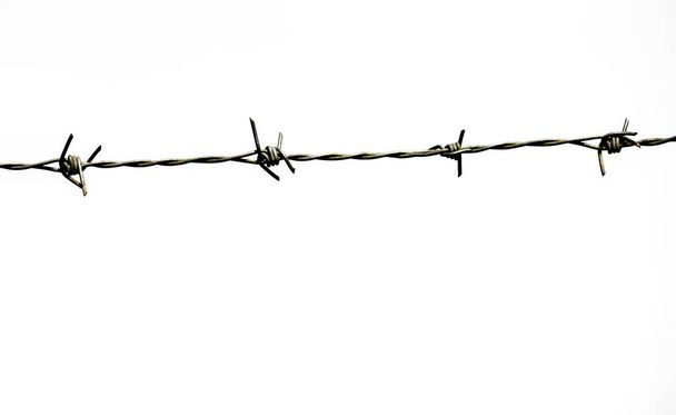barbed wire isolated on white background - Photo, Image