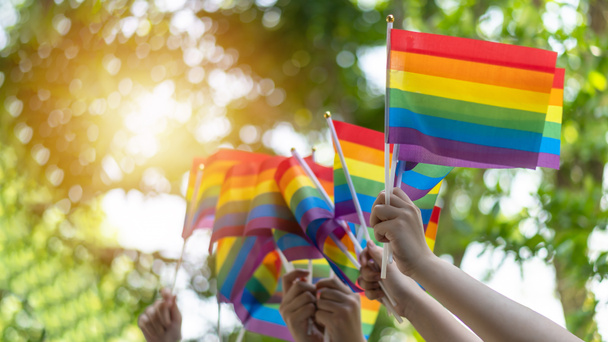 LGBT gururu veya LGBTQ + gay gururu Haziran ayında lezbiyen, gey, biseksüel ve transseksüel insan hakları sosyal eşitlik hareketleri için gökkuşağı bayrağı taşıyor - Fotoğraf, Görsel