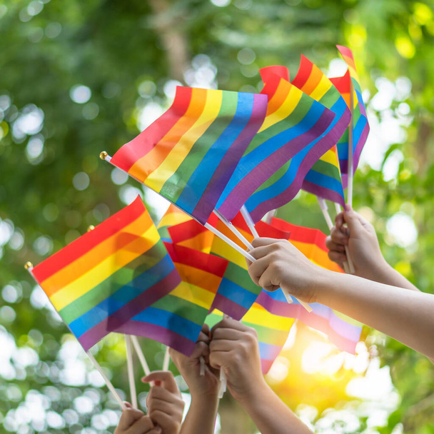 LGBT duma lub LGBTQ + duma gejów z tęczową flagą dla lesbijek, gejów, biseksualistów i transseksualistów - Zdjęcie, obraz