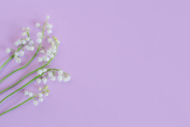 Bellissimi gigli della valle fiori su uno sfondo viola pastello. Piatto. Posto per testo. - Foto, immagini