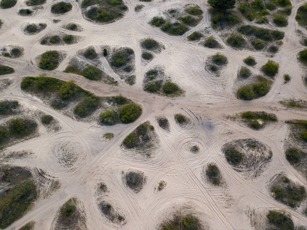 Motif sablonneux parmi les buissons. Vue aérienne du drone. - Photo, image