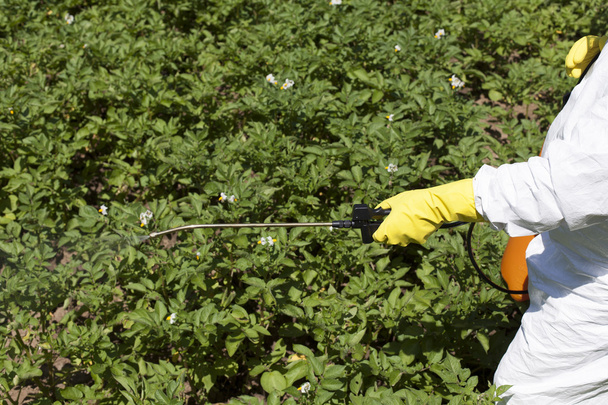 Pesticide spraying - Foto, immagini