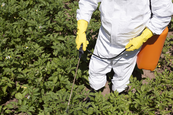 Pesticide spraying - Fotoğraf, Görsel