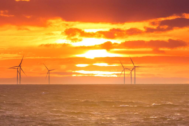 Renewable green electricity wind power generation offshore. Sunrise at decarbonization industry windmills business for regenerative energies. Clean energy renewables preventing climate change. - Photo, Image
