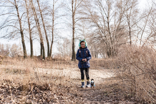 Teenage girl for a walk with her Chihuahua dog. Girl in a blue jacket. dog, chihuahua, teen - Foto, afbeelding
