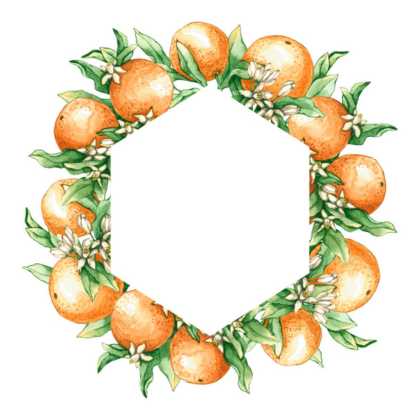 Frame with watercolor orange branches and flowers. Hand drawn illustration is isolated on white. Geometrical border is perfect for natural design, label, icon, logo, wedding invitation, greeting card - Photo, Image