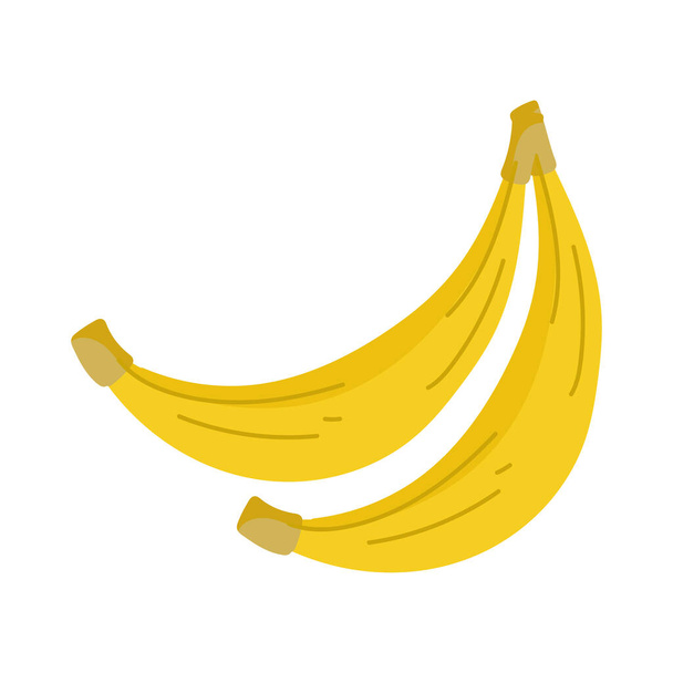 fruits de banane frais - Vecteur, image