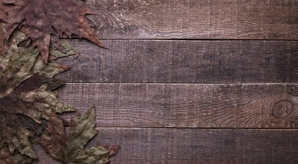 autumn leave. on wood background - Foto, afbeelding