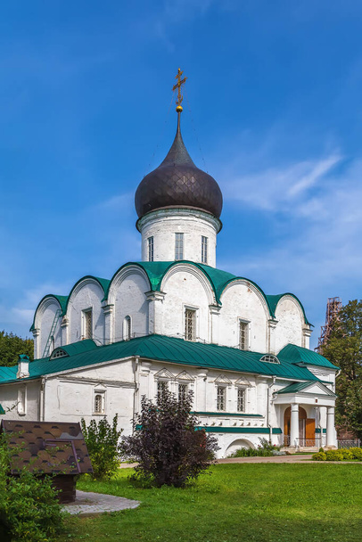 Alexandrov Kremlin, Rusya 'daki Trinity Katedrali - Fotoğraf, Görsel