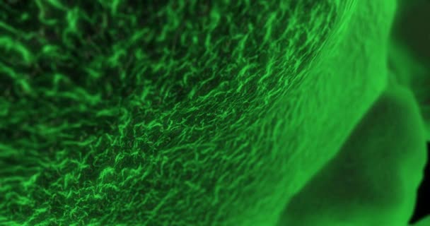Cellulair oppervlak in een cel, microscopisch uitzicht - Video