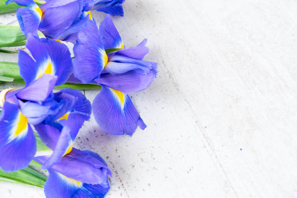 Fresh iris flowers - Foto, Imagem
