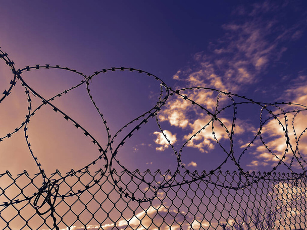 Een hek met prikkeldraad. Uitgerekt en verwond metaaldraad. Begrip onrecht, gevangenis, beperking van rechten en vrijheden. - Foto, afbeelding