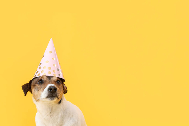 Cute funny dog in party cone on color background - Фото, изображение