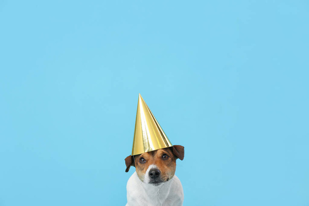 Leuke grappige hond in feestkegel op kleur achtergrond - Foto, afbeelding