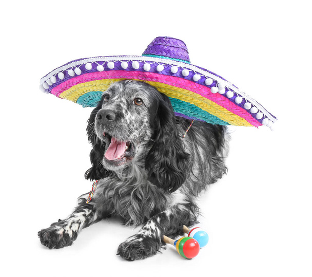 Cute dog in sombrero hat with maracas on white background - Foto, imagen
