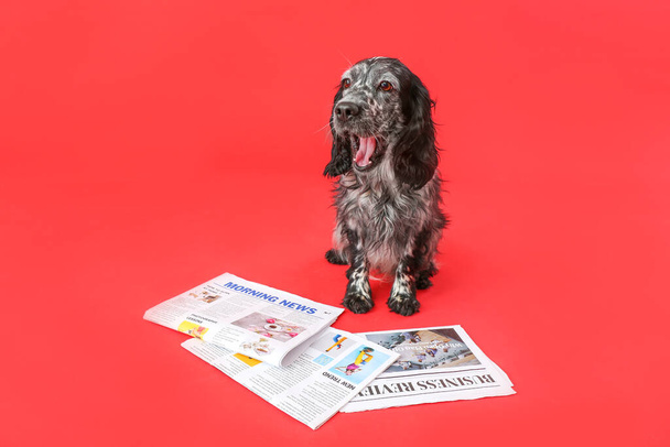 Cute pies z gazety na tle koloru - Zdjęcie, obraz