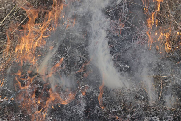 Gray smoke during a fire close-up. - Foto, Imagem
