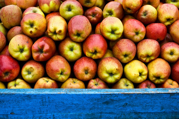 jabłka - Zdjęcie, obraz