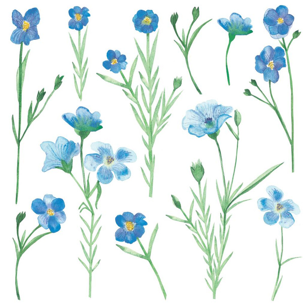 Aquarell handbemalt Natur Blumen Feld Set mit blauem Leinen Flachs blühen Blumen auf grünen Zweigen Kollektion isoliert auf dem weißen Hintergrund für Design-Elemente - Foto, Bild