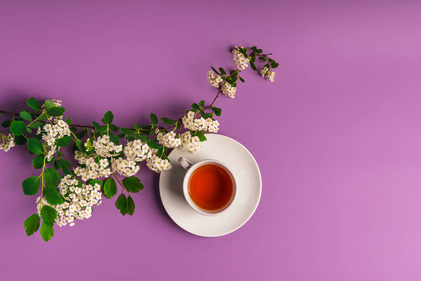  Kukka keväällä koostumus ja muki teetä violetti tausta, ylhäältä, kopioi tilaa - Valokuva, kuva