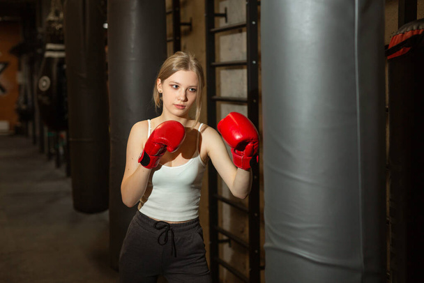 beautiful young female boxing training - 写真・画像