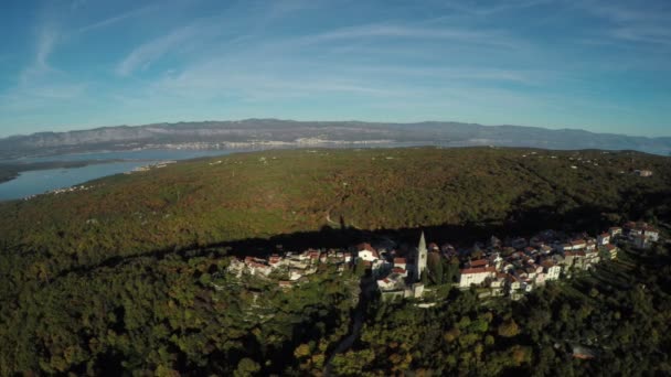 Paisaje de un pueblo en el bosque, vista aérea - Imágenes, Vídeo